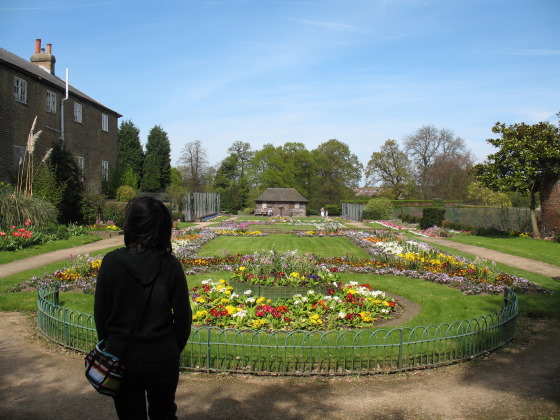 A picture